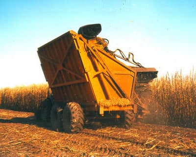 Ampliación de Secador Citrusvil